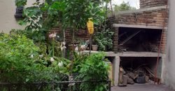 Hermoso Chalet 3 dormitorios en Buceo